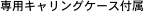 pLOP[Xt