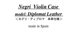 Negri  Violin Case 
model: