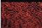 ZetaRed62